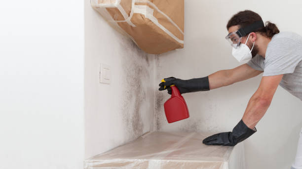 Professional Mold Removal technician working in Lebanon, OR